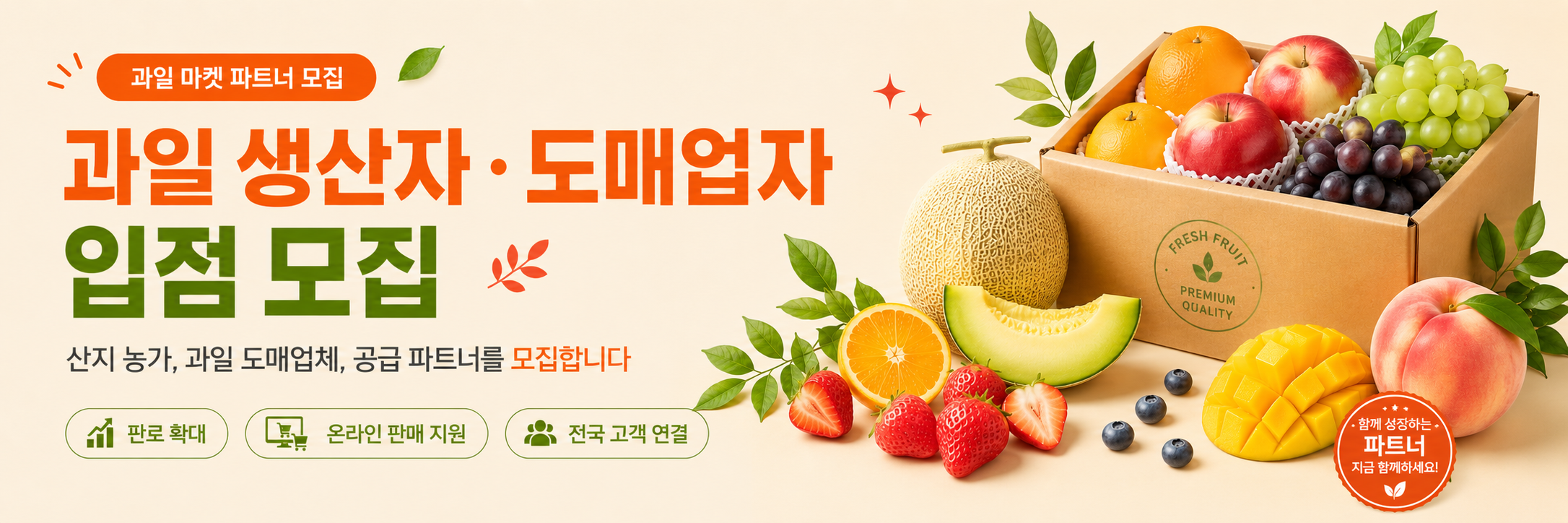 시험쿠폰
